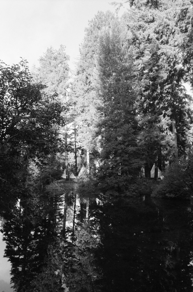 Link Creek Sisters OR 2025